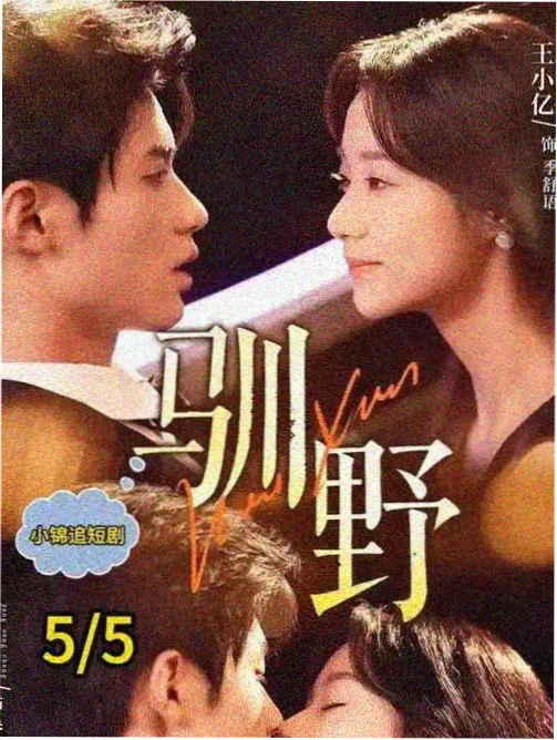 久草视频在线 排行榜第五